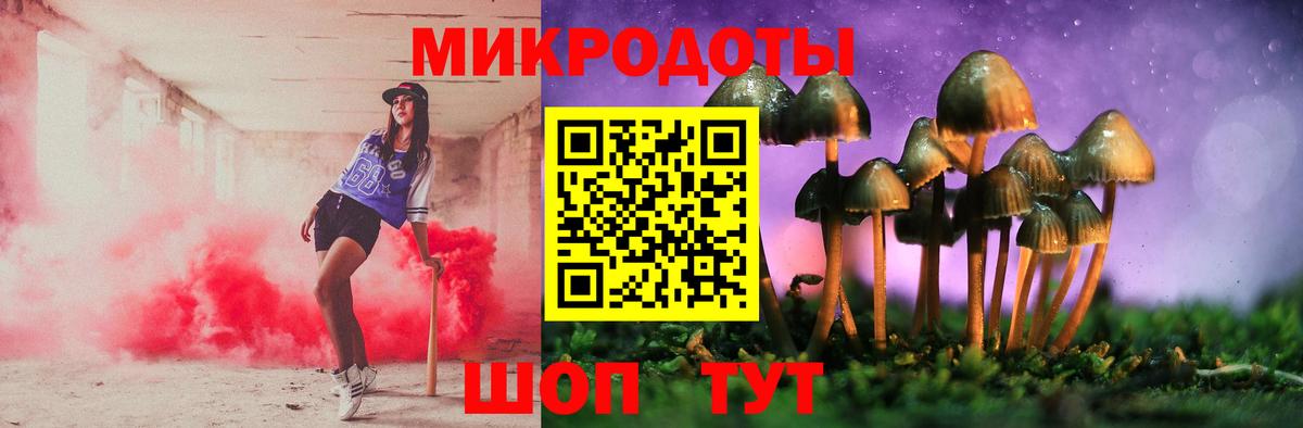 Галлюциногенные грибы Psilocybe Волжск